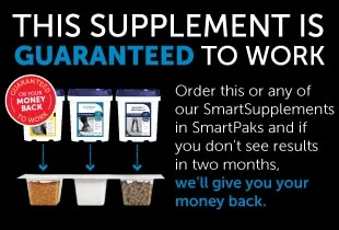 SmartVite Perform Senior Pellets - Image 3