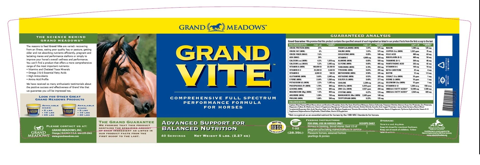 Grand Vite - Image 2