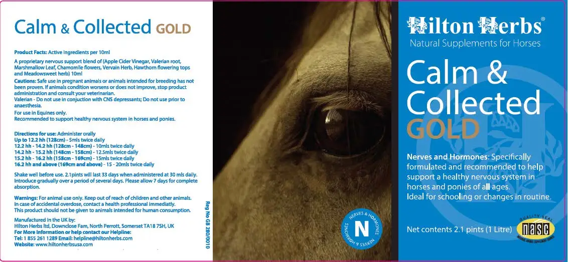 Calm & Collected Gold - Image 2