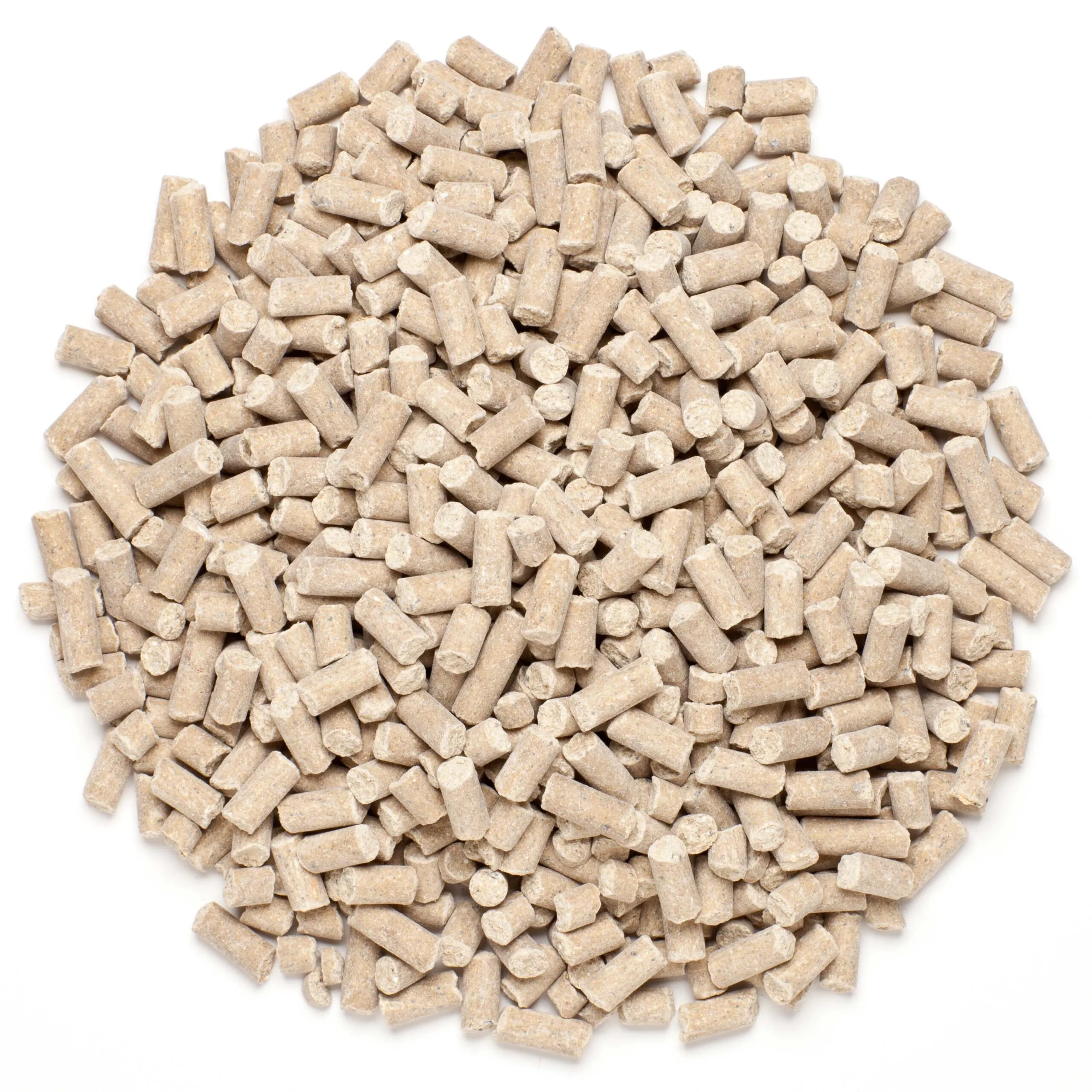 Grand Calm - Image 4