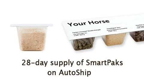 Fine Grain Himalayan Salt Granules - Image 4