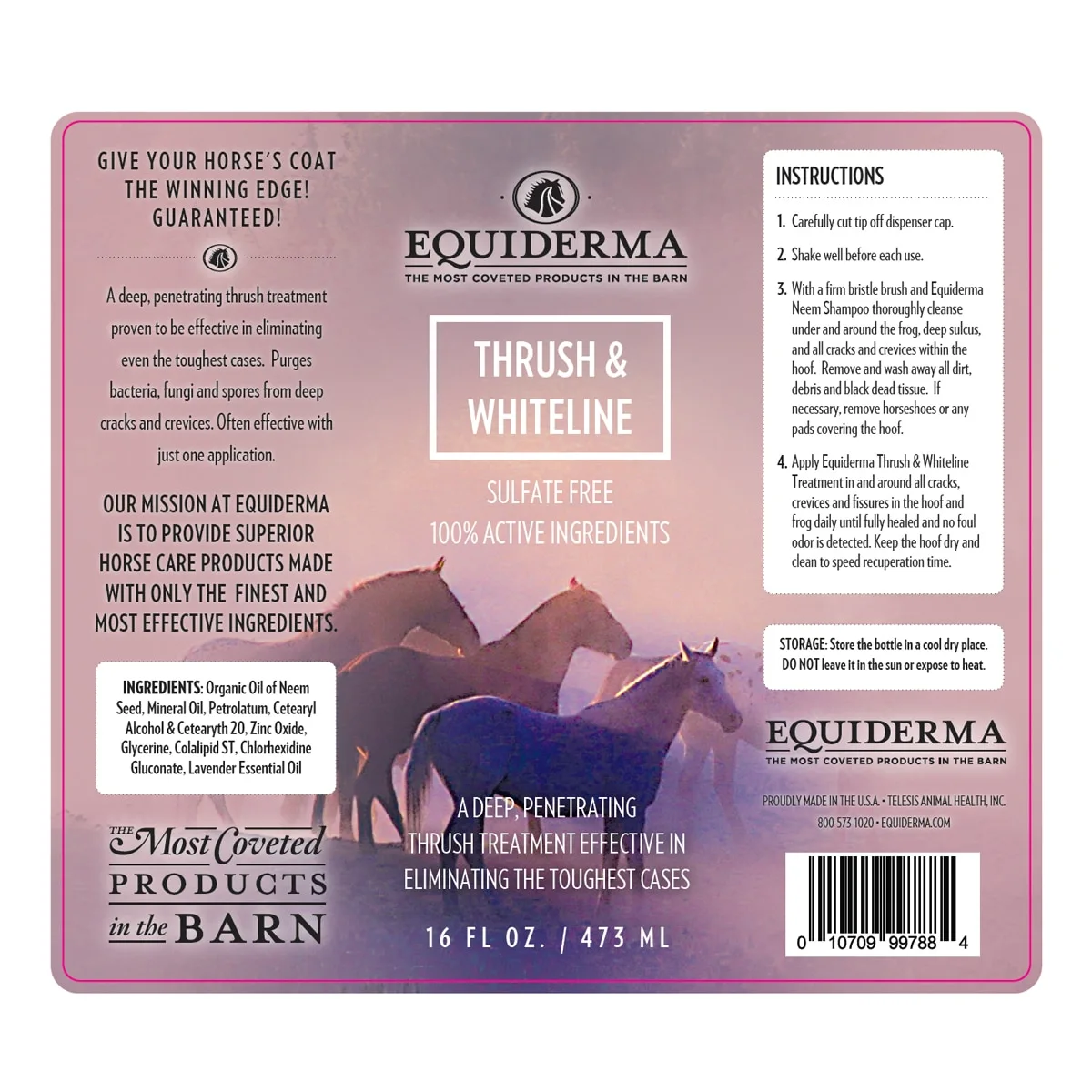 Equiderma Thrush & Whiteline Treatment - Image 4