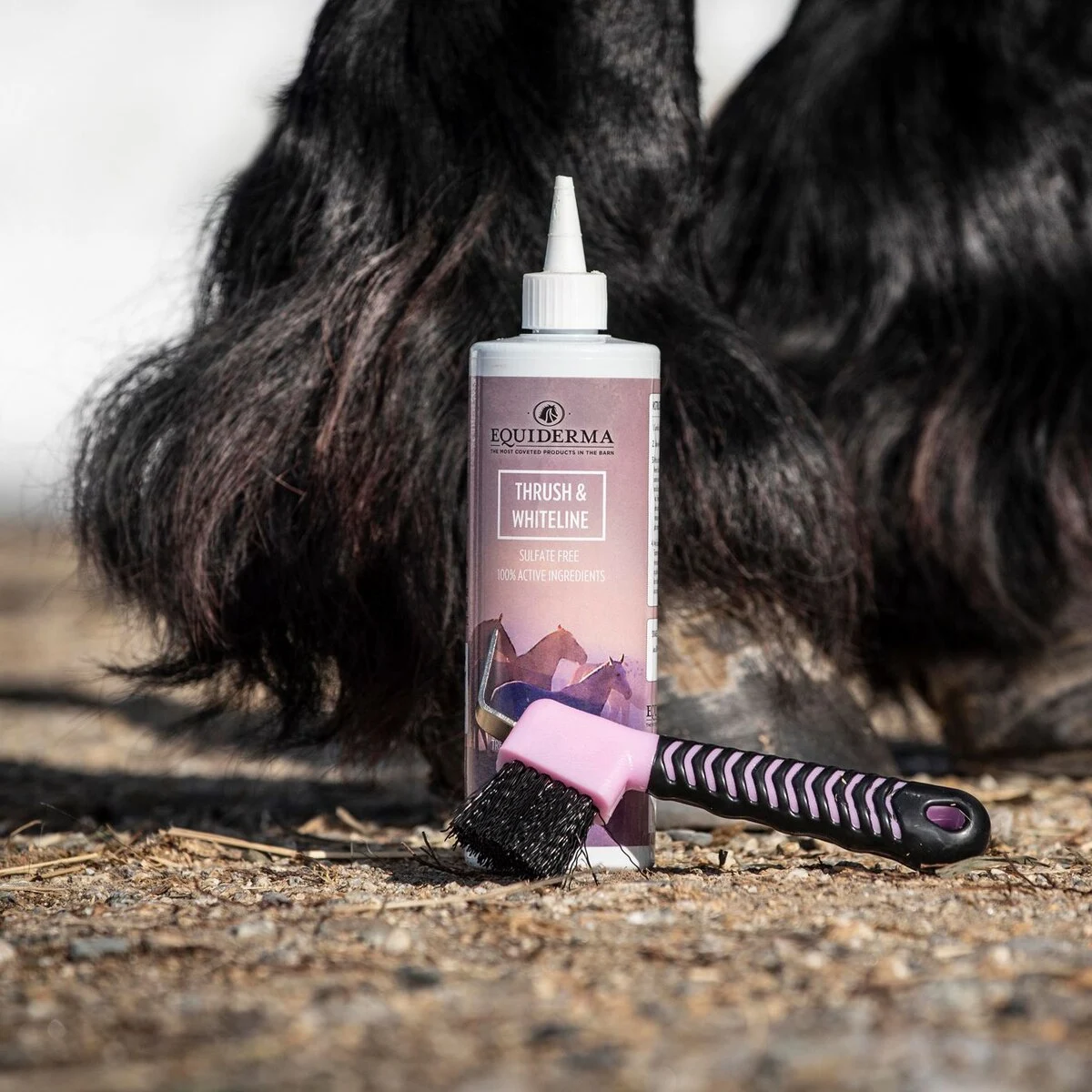 Equiderma Thrush & Whiteline Treatment - Image 2